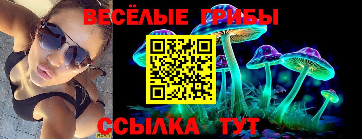 Галлюциногенные грибы ЛСД  Вход с VPN  Сердобск 